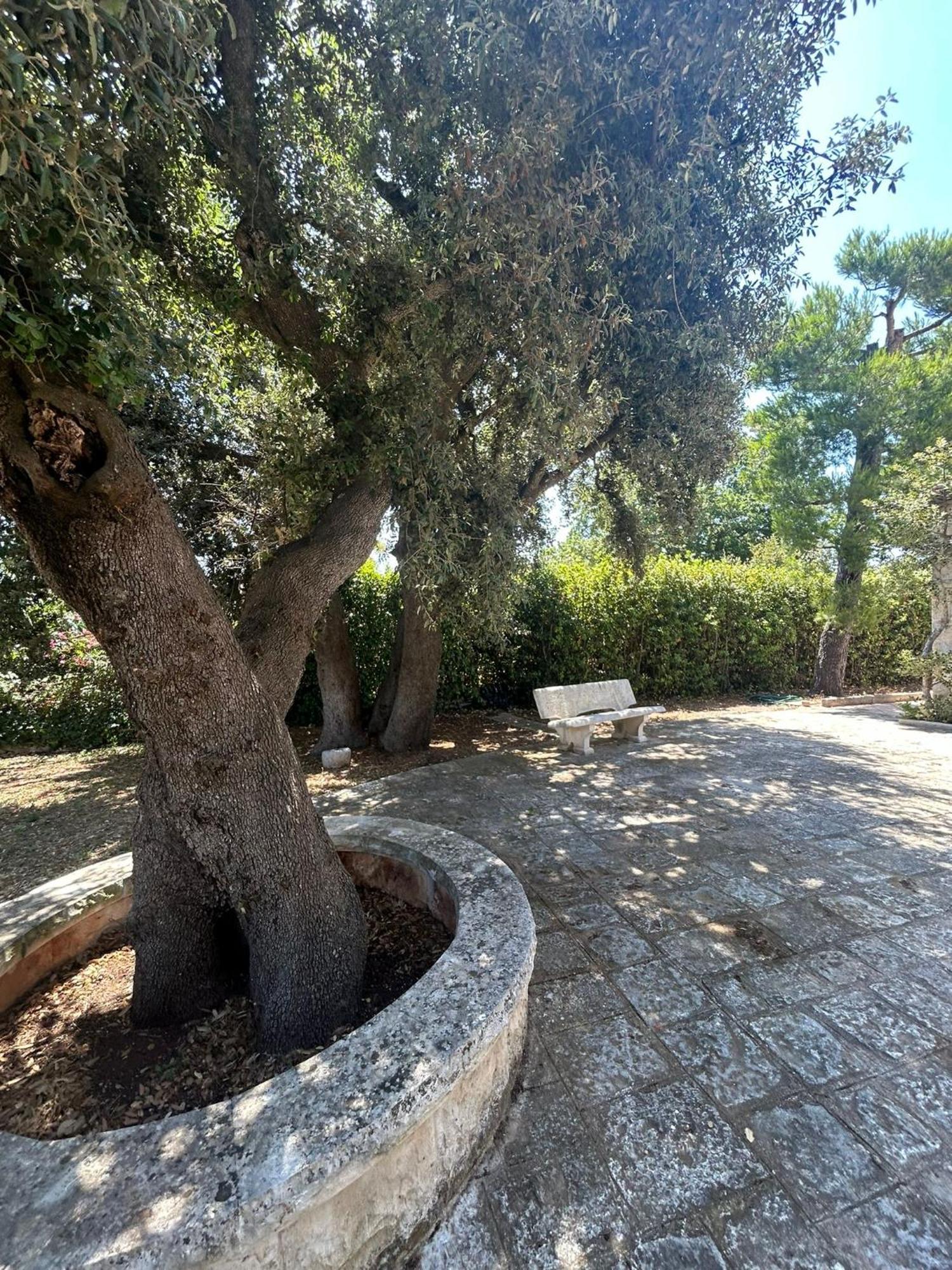 Villa San Michele By Sthey Impalata Dış mekan fotoğraf
